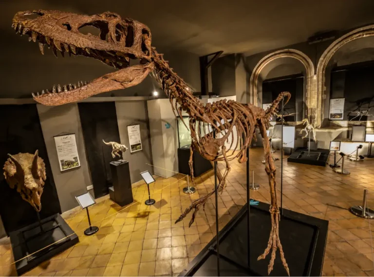 Prehistoric Beasts 3 © Geoff Price Images